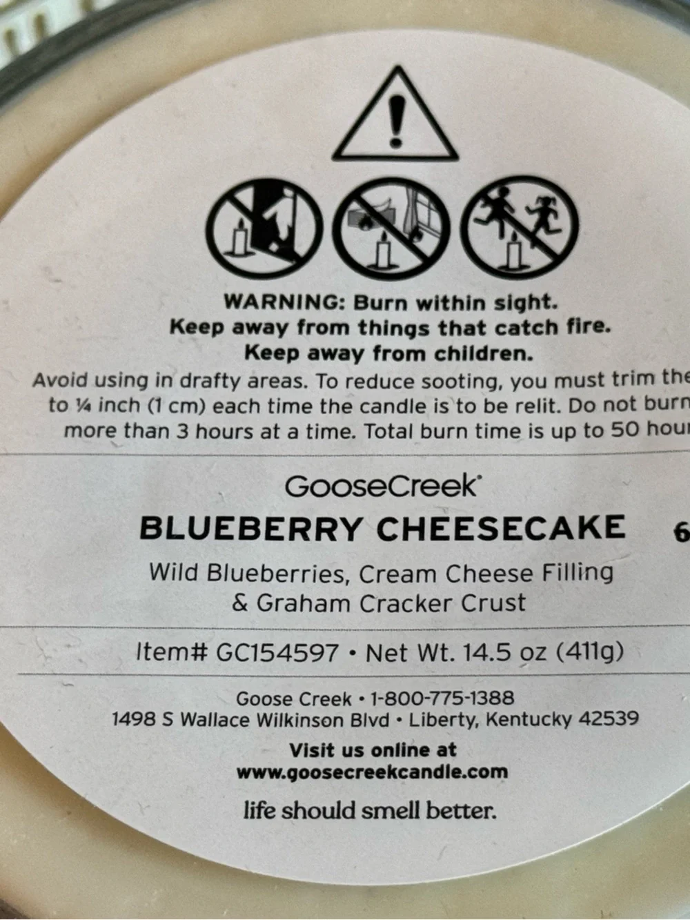 NEW Blueberry Cheesecake 3-Wick Candle by Goose Creek